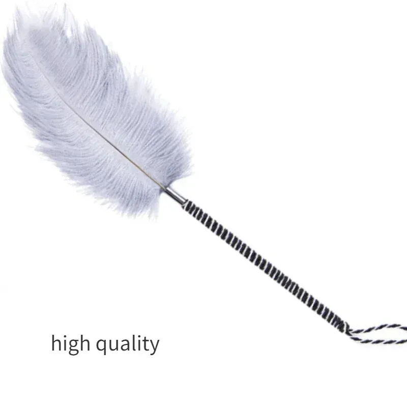 Látigo de plumas para masaje de cuerpo entero accesorio – vue 2